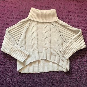 Turtle Neck Knit Sweater